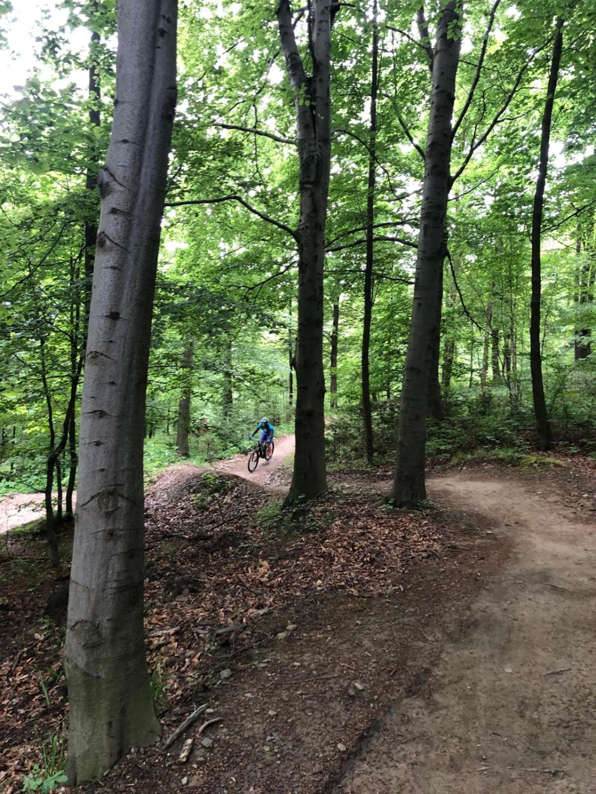 Domek Zgredek Żywiec Extérieur photo